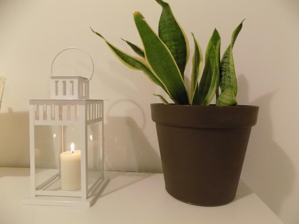 Apartament Kartuska 112 Lägenhet Gdańsk Exteriör bild